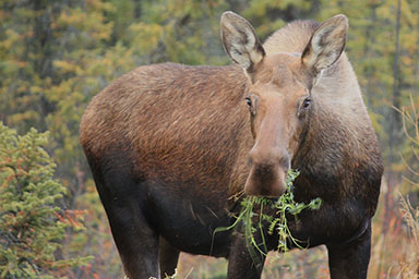 Cabin photos Cabin photos