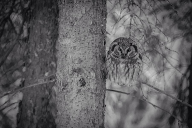 Cabin photos Cabin photos